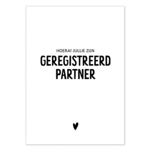 Geregistreerd partner